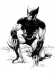 wolverine_kneeling_full